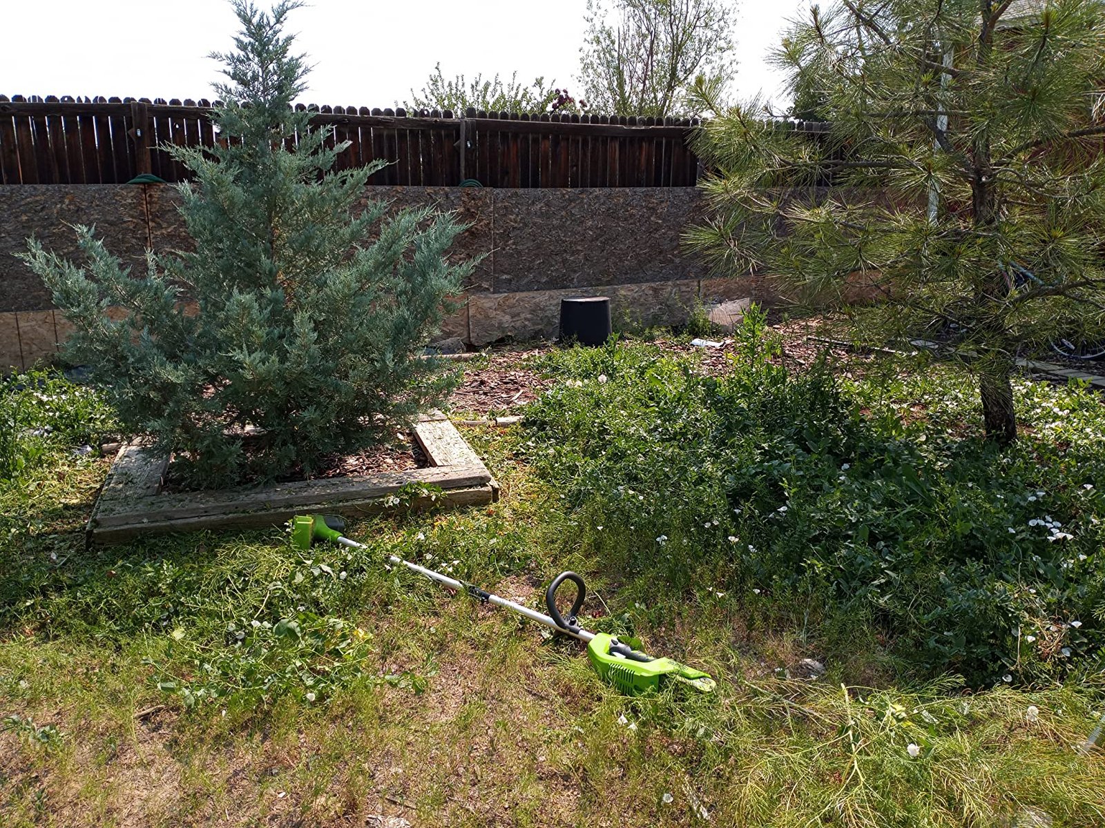 Piotr Kaczmarek PowerEdge ProCut Rezultat - Profesjonalne krawędzie posesji