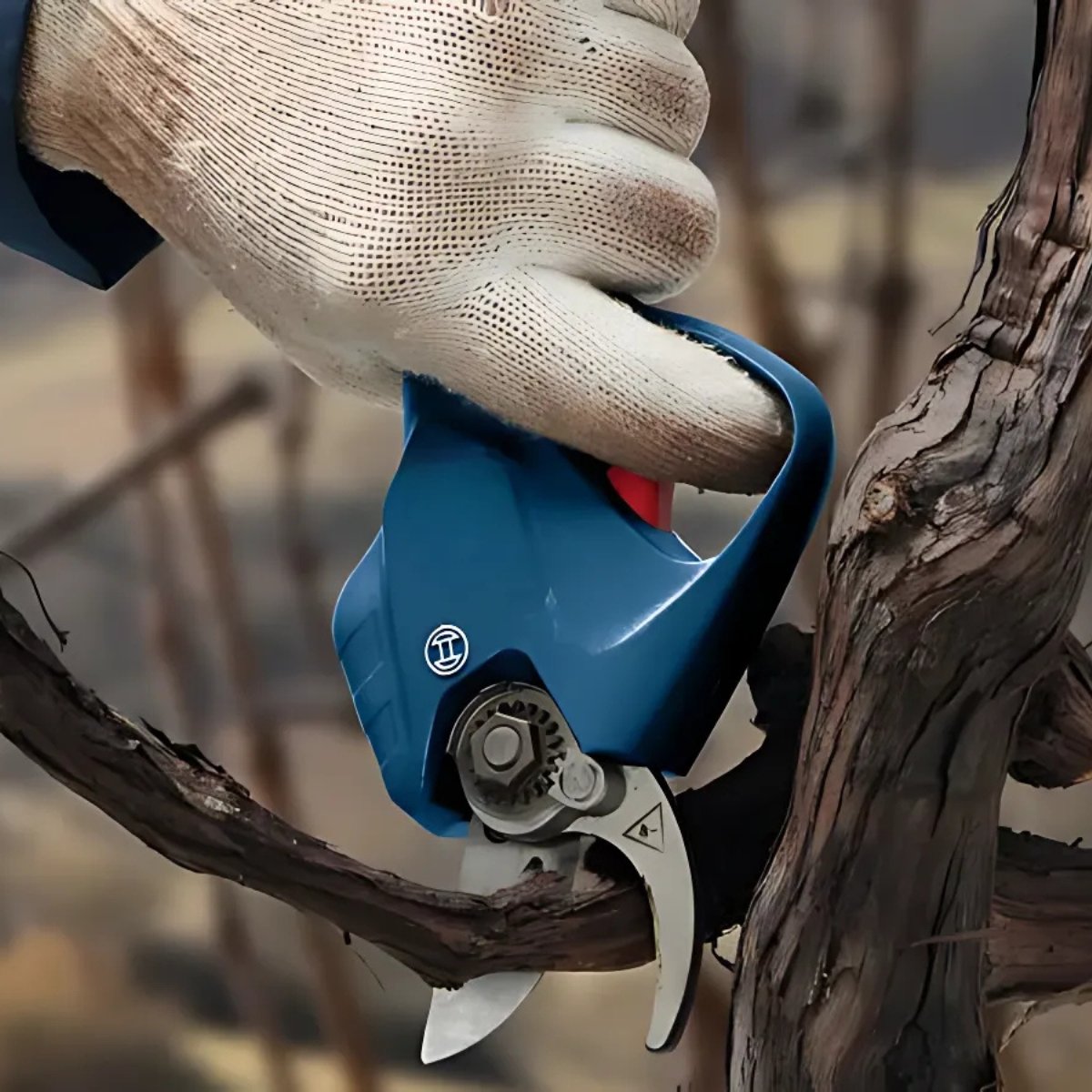 Ostrza ze Stali Nierdzewnej