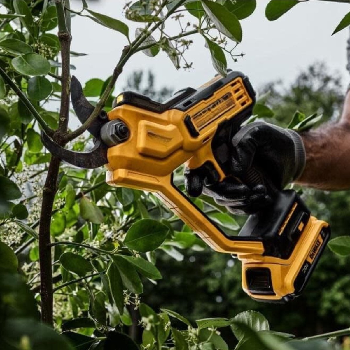 System Bezpieczeństwa