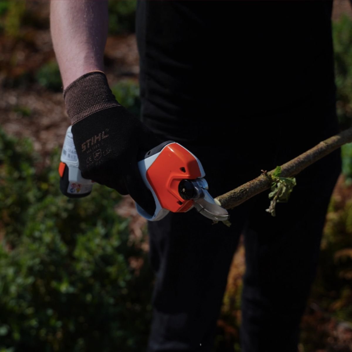 System Bezpieczeństwa