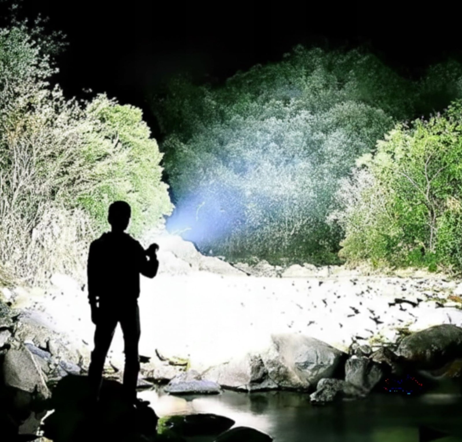 Recenzia Petra Svobodu