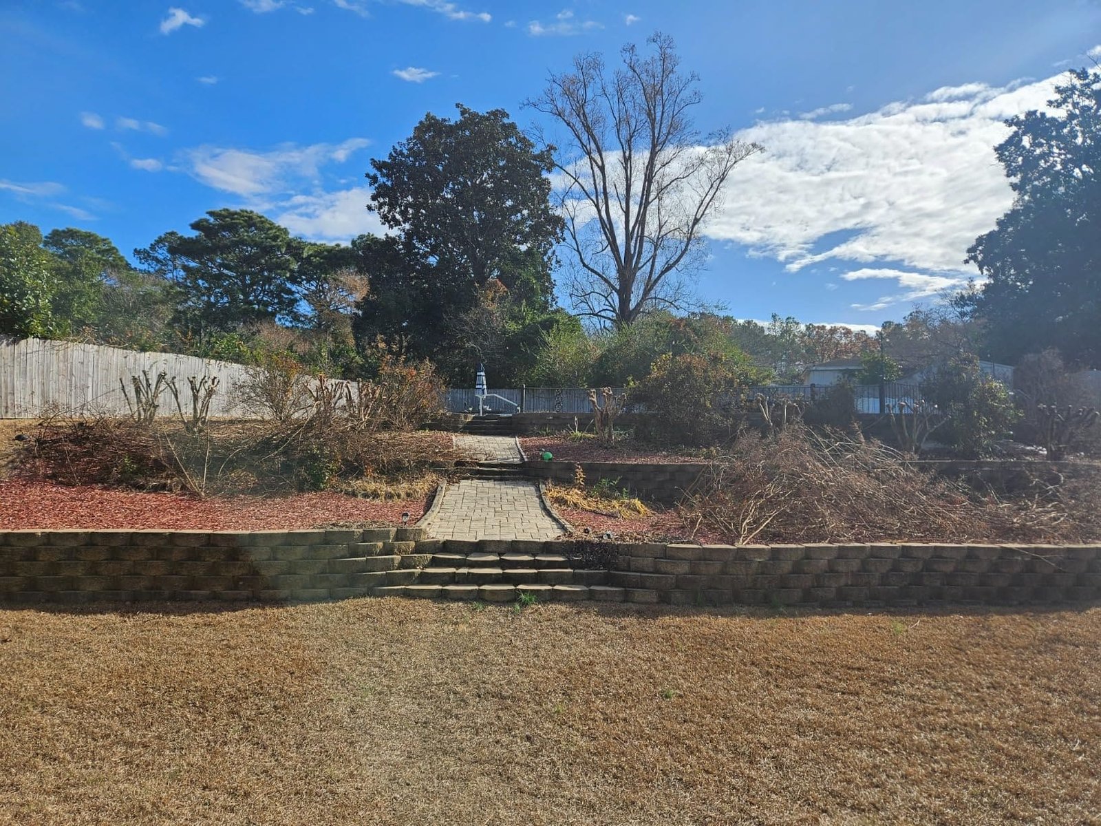 Recenzia Márie Nagy