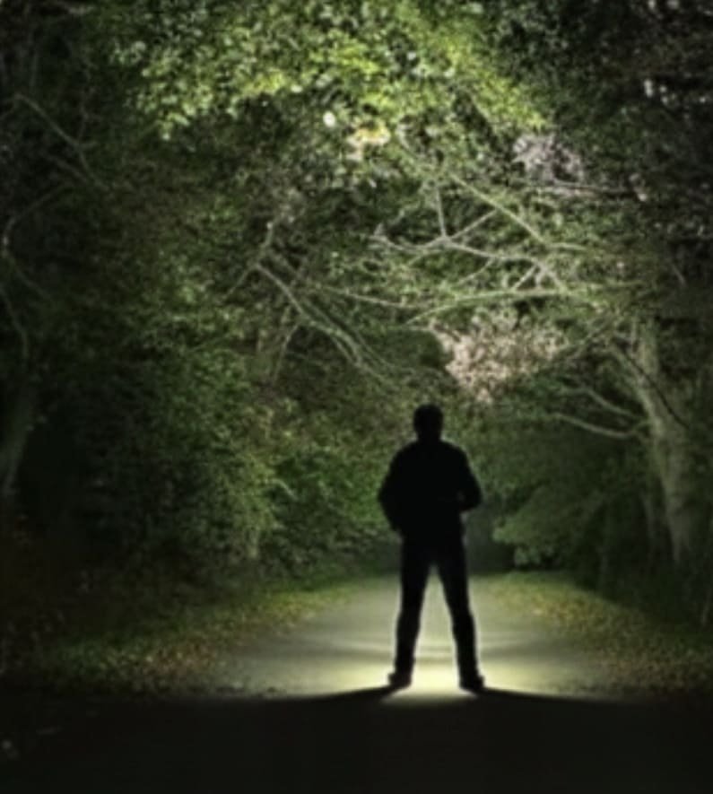 Recenzia Anny Procházka